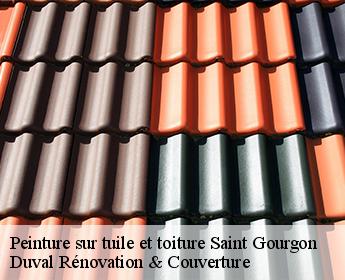 Peinture sur tuile et toiture  saint-gourgon-41310 Duval Rénovation & Couverture