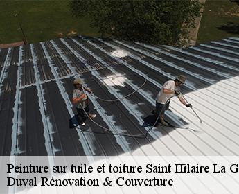 Peinture sur tuile et toiture 41160