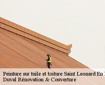 Peinture sur tuile et toiture