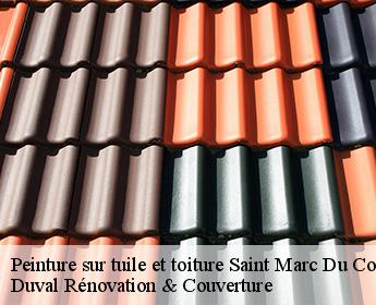 Peinture sur tuile et toiture saint-marc-du-cor-41170 Duval Rénovation & Couverture