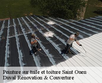 Peinture sur tuile et toiture 41100