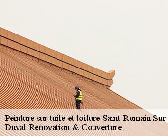 Peinture sur tuile et toiture