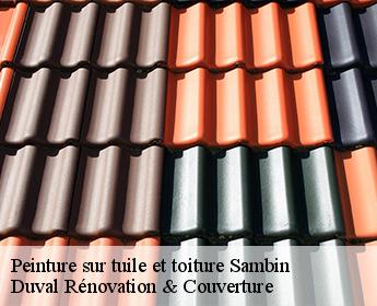 Peinture sur tuile et toiture sambin-41120 Duval Rénovation & Couverture