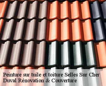 Peinture sur tuile et toiture selles-sur-cher-41130 Duval Rénovation & Couverture