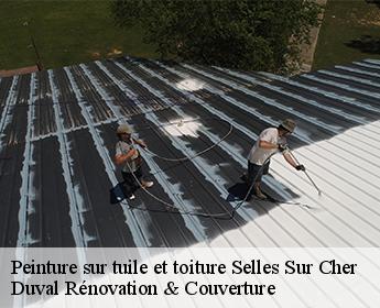 Peinture sur tuile et toiture 41130