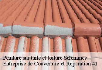 Peinture sur tuile et toiture  selommes-41100 Entreprise de Couverture et Reparation 41