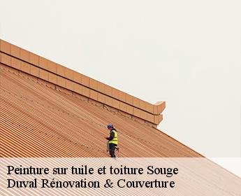 Peinture sur tuile et toiture
