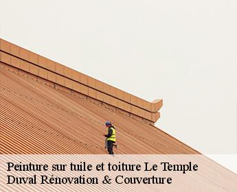Peinture sur tuile et toiture