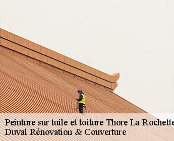 Peinture sur tuile et toiture