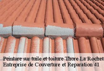 Peinture sur tuile et toiture  thore-la-rochette-41100 Entreprise de Couverture et Reparation 41