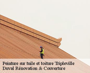 Peinture sur tuile et toiture