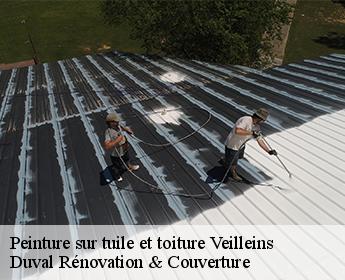 Peinture sur tuile et toiture 41230