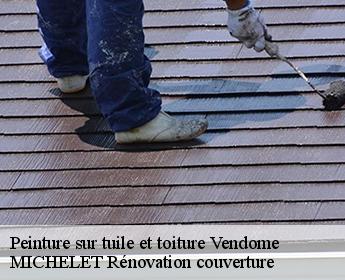 Peinture sur tuile et toiture 41100
