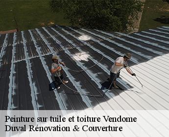 Peinture sur tuile et toiture  41100