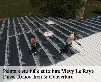 Peinture sur tuile et toiture 41290