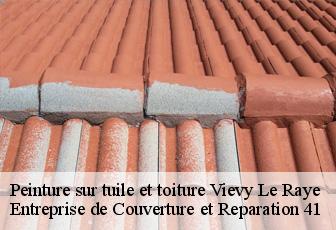 Peinture sur tuile et toiture  vievy-le-raye-41290 Entreprise de Couverture et Reparation 41