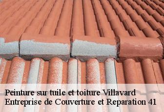 Peinture sur tuile et toiture  villavard-41800 Entreprise de Couverture et Reparation 41