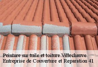 Peinture sur tuile et toiture  villechauve-41310 Entreprise de Couverture et Reparation 41