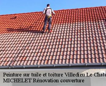 Peinture sur tuile et toiture villedieu-le-chateau-41800 Entreprise de Couverture et Reparation 41