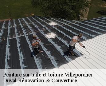 Peinture sur tuile et toiture  41310