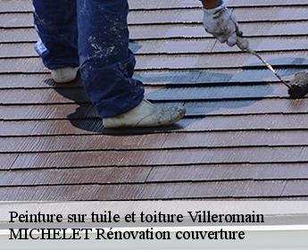 Peinture sur tuile et toiture 41100