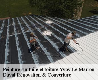 Peinture sur tuile et toiture  41600