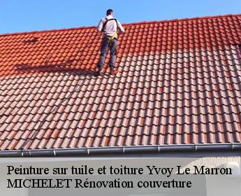 Peinture sur tuile et toiture yvoy-le-marron-41600 MICHELET Rénovation couverture
