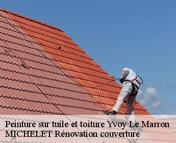 Peinture sur tuile et toiture