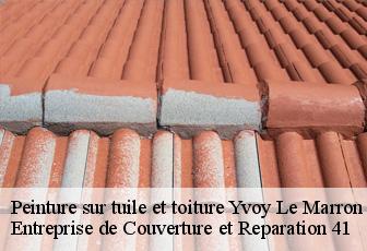 Peinture sur tuile et toiture  yvoy-le-marron-41600 Entreprise de Couverture et Reparation 41