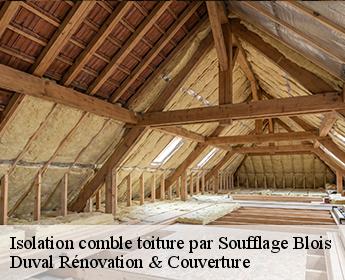 Isolation comble toiture par Soufflage 41000