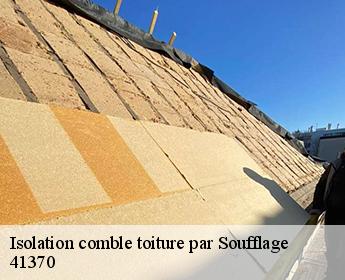 Isolation comble toiture par Soufflage 41370