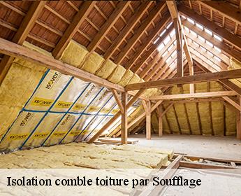 Isolation comble toiture par Soufflage  41170