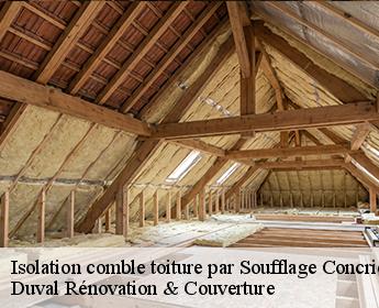 Isolation comble toiture par Soufflage 41370
