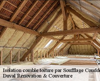 Isolation comble toiture par Soufflage 41700