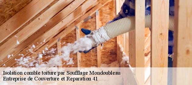 Isolation comble toiture par Soufflage  mondoubleau-41170 Entreprise de Couverture et Reparation 41