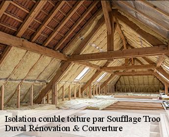 Isolation comble toiture par Soufflage 41800