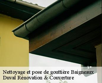 Nettoyage et pose de gouttière  baigneaux-41290 Duval Rénovation & Couverture
