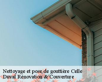 Nettoyage et pose de gouttière
