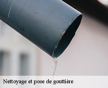 Nettoyage et pose de gouttière