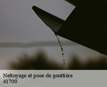 Nettoyage et pose de gouttière 41700