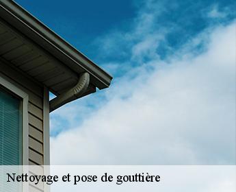 Nettoyage et pose de gouttière
