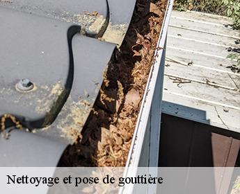 Nettoyage et pose de gouttière  41360