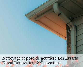 Nettoyage et pose de gouttière