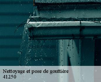 Nettoyage et pose de gouttière  41250