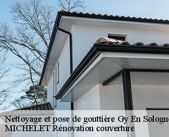 Nettoyage et pose de gouttière 41230