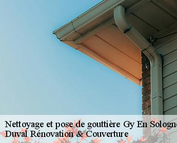 Nettoyage et pose de gouttière