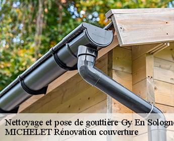 Nettoyage et pose de gouttière gy-en-sologne-41230 Entreprise de Couverture et Reparation 41