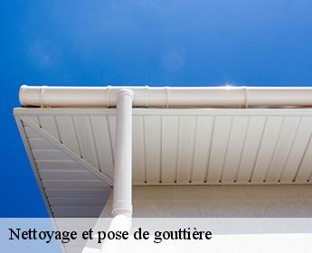 Nettoyage et pose de gouttière 41190