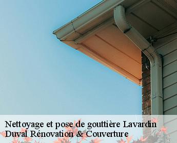 Nettoyage et pose de gouttière
