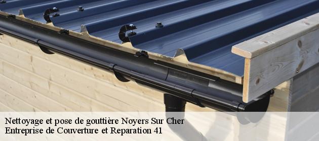 Nettoyage et pose de gouttière  noyers-sur-cher-41140 Entreprise de Couverture et Reparation 41
